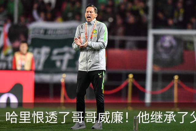 哈里恨透了哥哥威廉！他继承了父亲的王位不说，还继承了母亲的脸